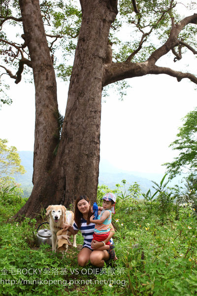 開心的小寶寶-1-52