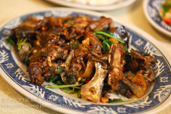 開心的小寶寶-10