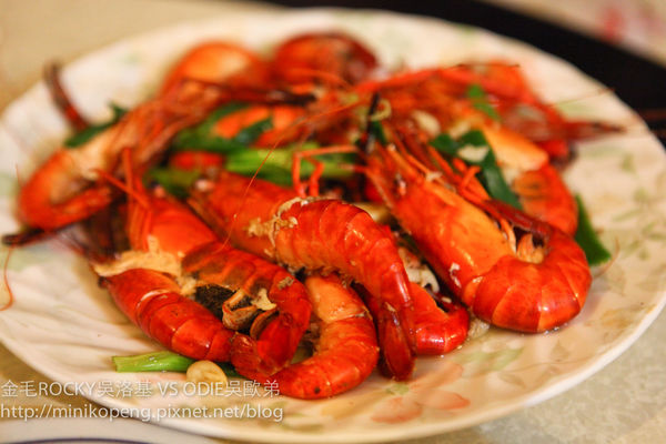 開心的小寶寶-11