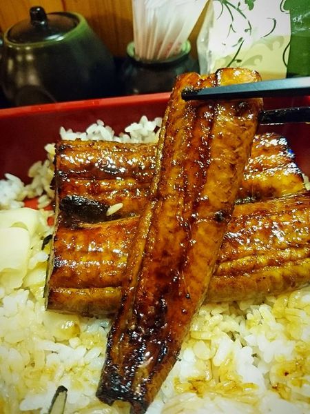 17342963_1434150943283257_4382399967229210129_n