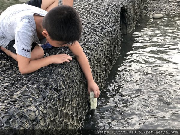 IMG_3515.JPG IMG_3515.JPG