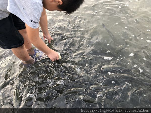 IMG_3527.JPG IMG_3527.JPG