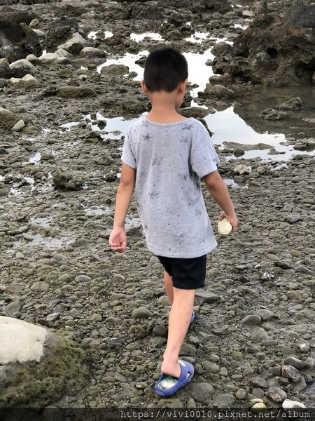 IMG_3501.JPG IMG_3501.JPG