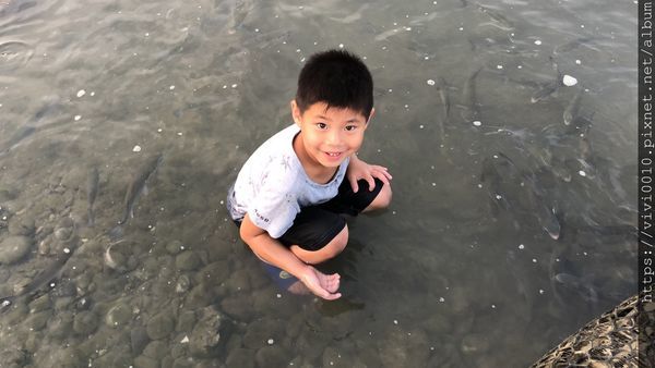 IMG_3546.JPG IMG_3546.JPG