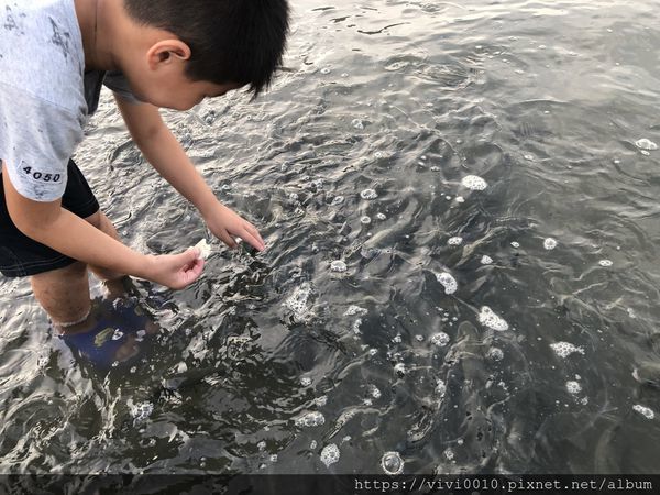 IMG_3524.JPG IMG_3524.JPG