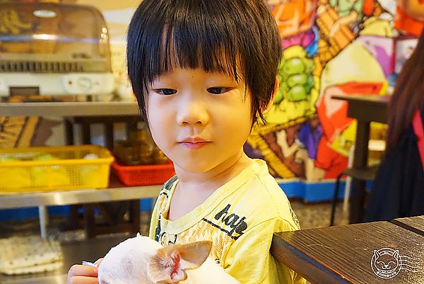 泰小葉泰國米粉湯專賣店：※ 泰小葉泰國米粉湯專賣店 ※【星羽是吃貨-台中】一個因為喜歡成就的夢想，平價美味料多實在，特製醬料碰撞美妙新滋味~(文末有好康)