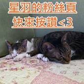 泰小葉泰國米粉湯專賣店：※ 泰小葉泰國米粉湯專賣店 ※【星羽是吃貨-台中】一個因為喜歡成就的夢想，平價美味料多實在，特製醬料碰撞美妙新滋味~(文末有好康)