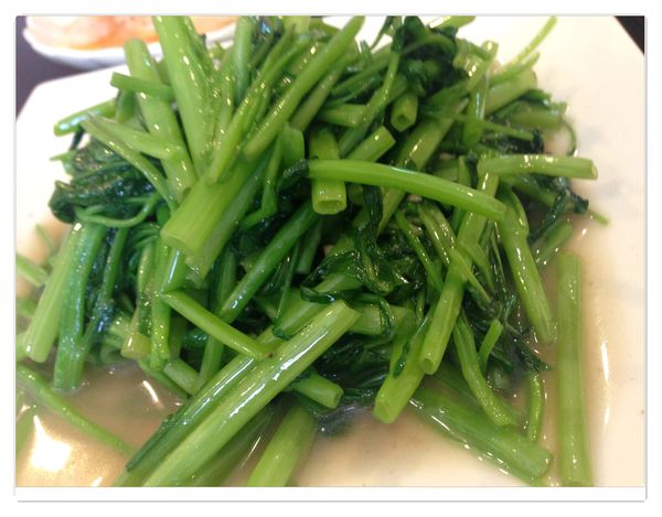 esdd 043.jpg esdd 043.jpg