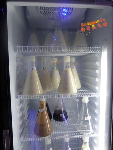 (體驗)[逢甲夜市]分子做為媒介、甜點精神的傳承~Å LAB 冰淇淋實驗室