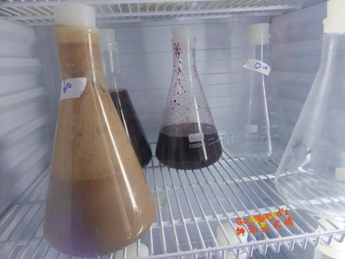 (體驗)[逢甲夜市]分子做為媒介、甜點精神的傳承~Å LAB 冰淇淋實驗室
