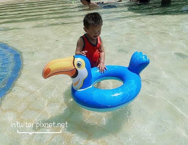 龍潭運動公園戲水區15.jpg 龍潭運動公園戲水區15.jpg