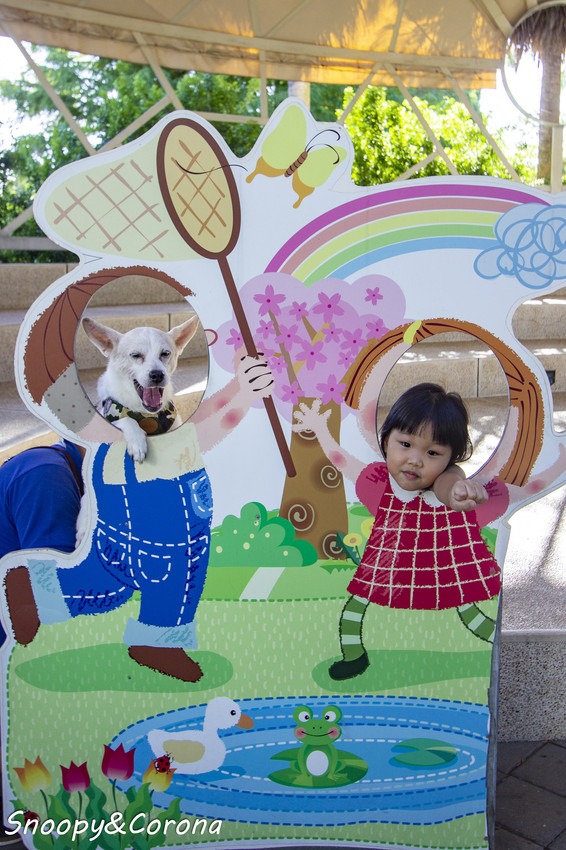 【玩樂．桃園】大溪景點／魔幻豆子主題館～與繽紛堅果公仔拍照，免費可愛輕鬆走逛的景點