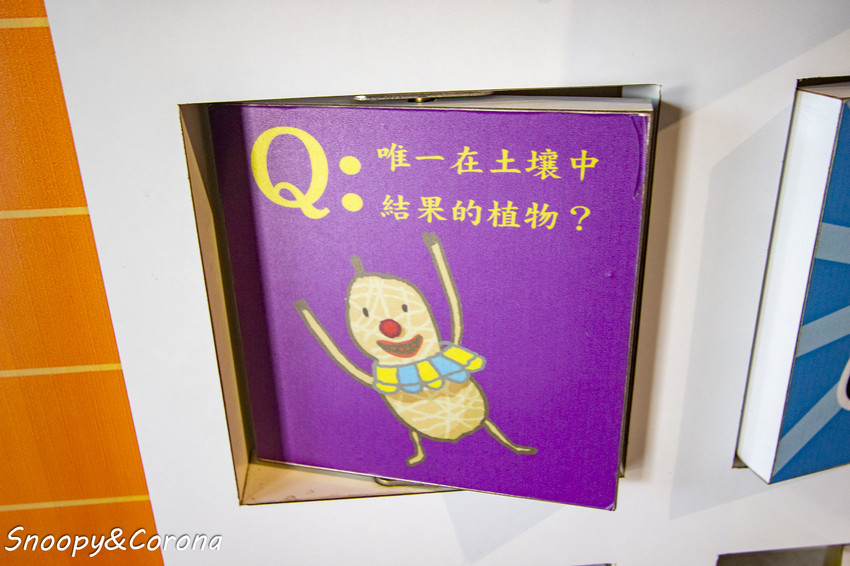 【玩樂．桃園】大溪景點／魔幻豆子主題館～與繽紛堅果公仔拍照，免費可愛輕鬆走逛的景點