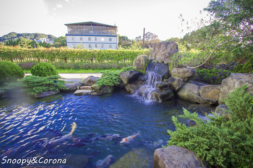 【玩樂．桃園】大溪景點／魔幻豆子主題館～與繽紛堅果公仔拍照，免費可愛輕鬆走逛的景點