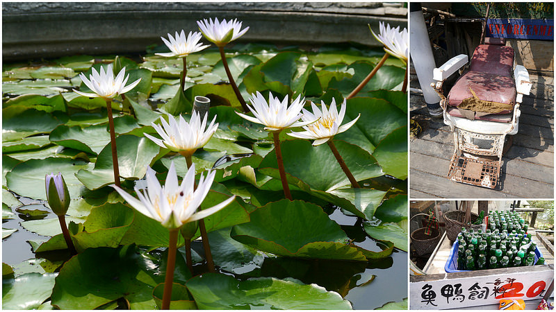 【台南▍親子旅遊】佳里龍貓村(香草驛棧農場)♥像電影中陪龍貓等公車的畫面，活脫脫在現實中上演~