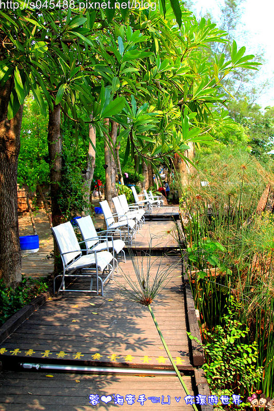 【台南▍親子旅遊】佳里龍貓村(香草驛棧農場)♥像電影中陪龍貓等公車的畫面，活脫脫在現實中上演~