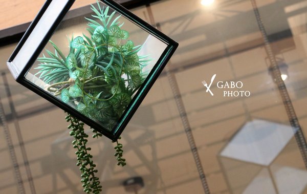 cm20171129___8b499457574b6c86e0042e394a6