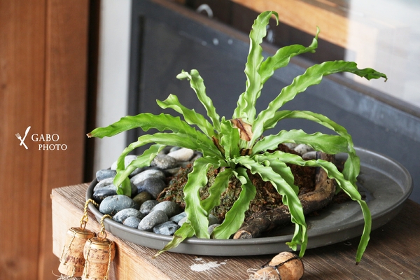 cm20171128___e7125d6385ad5a7a21a89de84bb