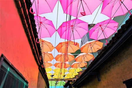 【彰化和美 | 景點】艷陽下的七彩雨傘巷☂卡里善之樹