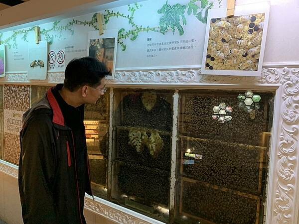 雲林古坑蜜園~蜜蜂故事館~
