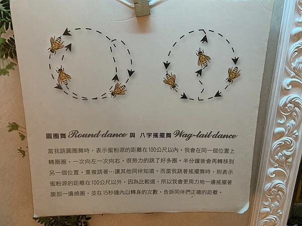 雲林古坑蜜園~蜜蜂故事館~