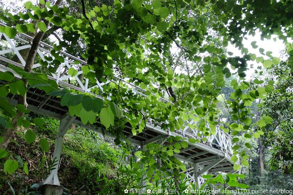 DSCF8183_结果.JPG DSCF8183_结果.JPG