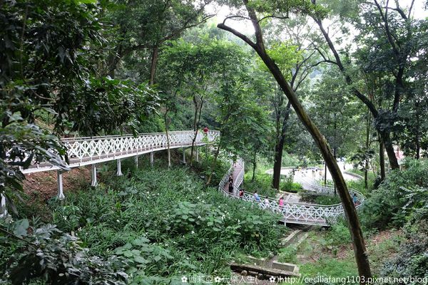 DSCF8212_结果.JPG DSCF8212_结果.JPG