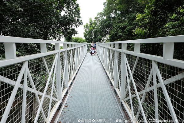 DSCF8198_结果.JPG DSCF8198_结果.JPG