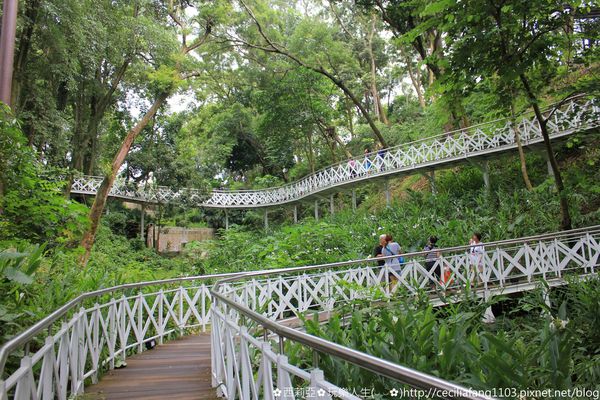 IMG_5771_结果.JPG IMG_5771_结果.JPG