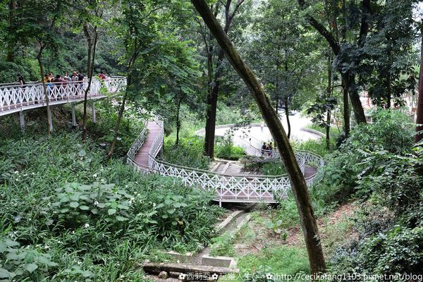 DSCF8190_结果.JPG DSCF8190_结果.JPG