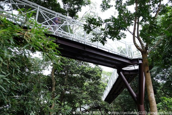 DSCF8207_结果.JPG DSCF8207_结果.JPG