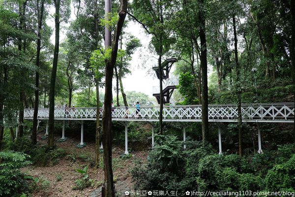 DSCF8188_结果.JPG DSCF8188_结果.JPG