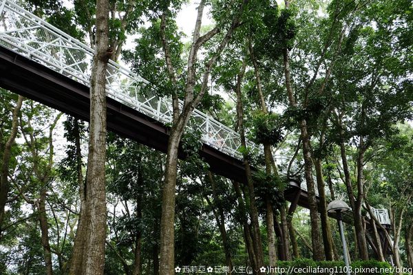 DSCF8206_结果.JPG DSCF8206_结果.JPG