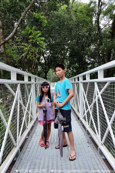 DSCF8203_结果.JPG DSCF8203_结果.JPG