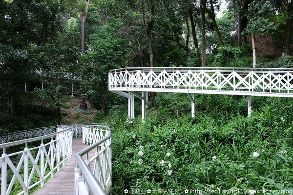 DSCF8214_结果.JPG DSCF8214_结果.JPG