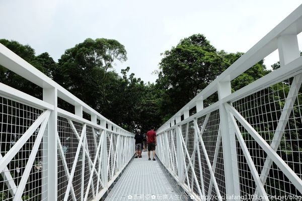 DSCF8197_结果.JPG DSCF8197_结果.JPG