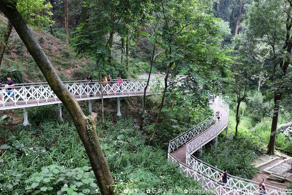 DSCF8191_结果.JPG DSCF8191_结果.JPG