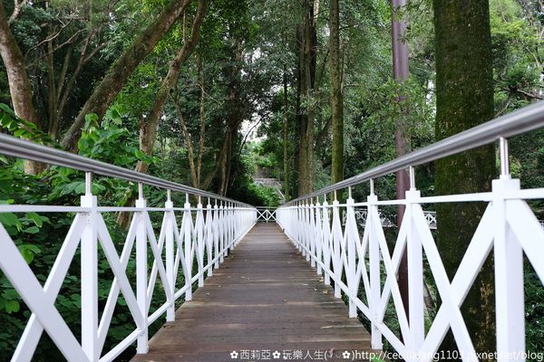 DSCF8209_结果.JPG DSCF8209_结果.JPG