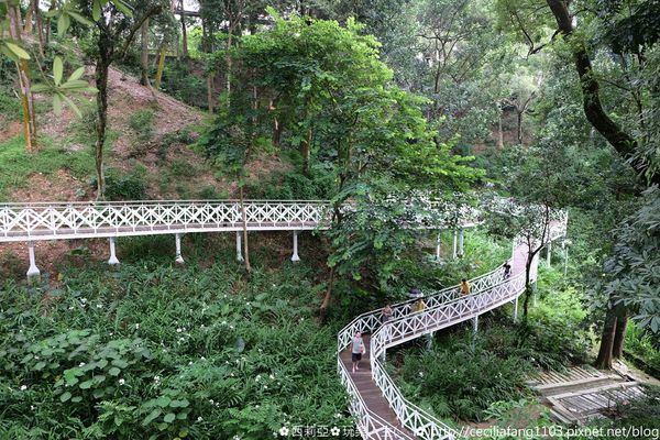 DSCF8210_结果.JPG DSCF8210_结果.JPG