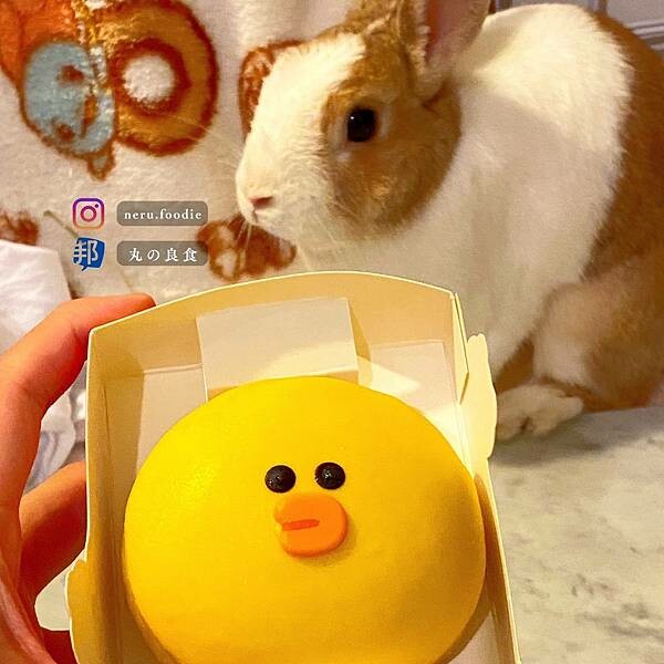 Mister Donut x Line Friends｜聯名甜甜圈新品推薦 @neru.foodie / 丸の良食