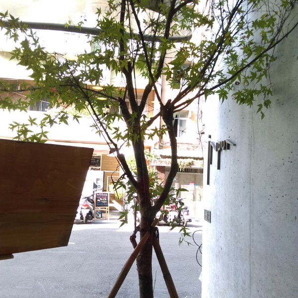 Input Music音鋪:【台北市大安區 / 下午茶 / 咖啡廳 / 樂器行】三訪Input Music音鋪~~有咖啡香的樂器行