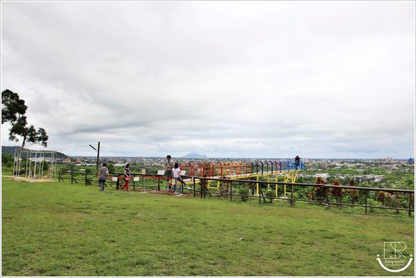 A.maze兔子迷宮景觀咖啡餐廳 (22)