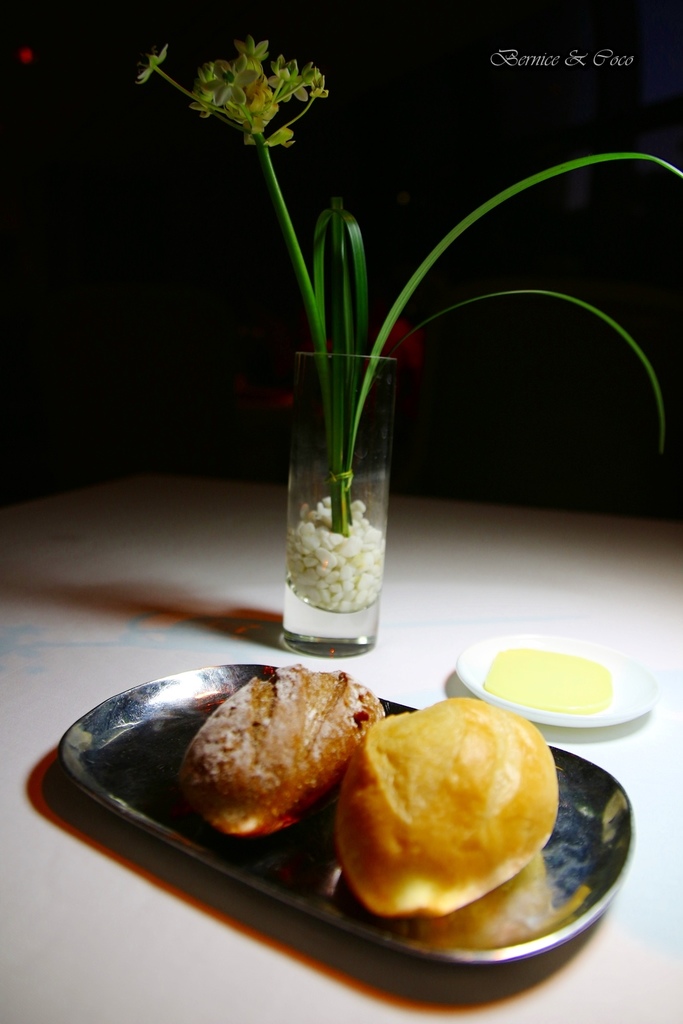 IMG_6846.JPG IMG_6846.JPG