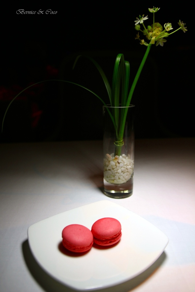 IMG_6902.JPG IMG_6902.JPG