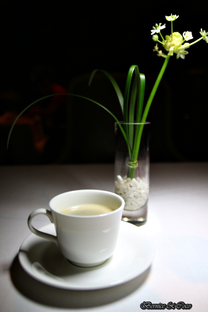 IMG_6901.JPG IMG_6901.JPG