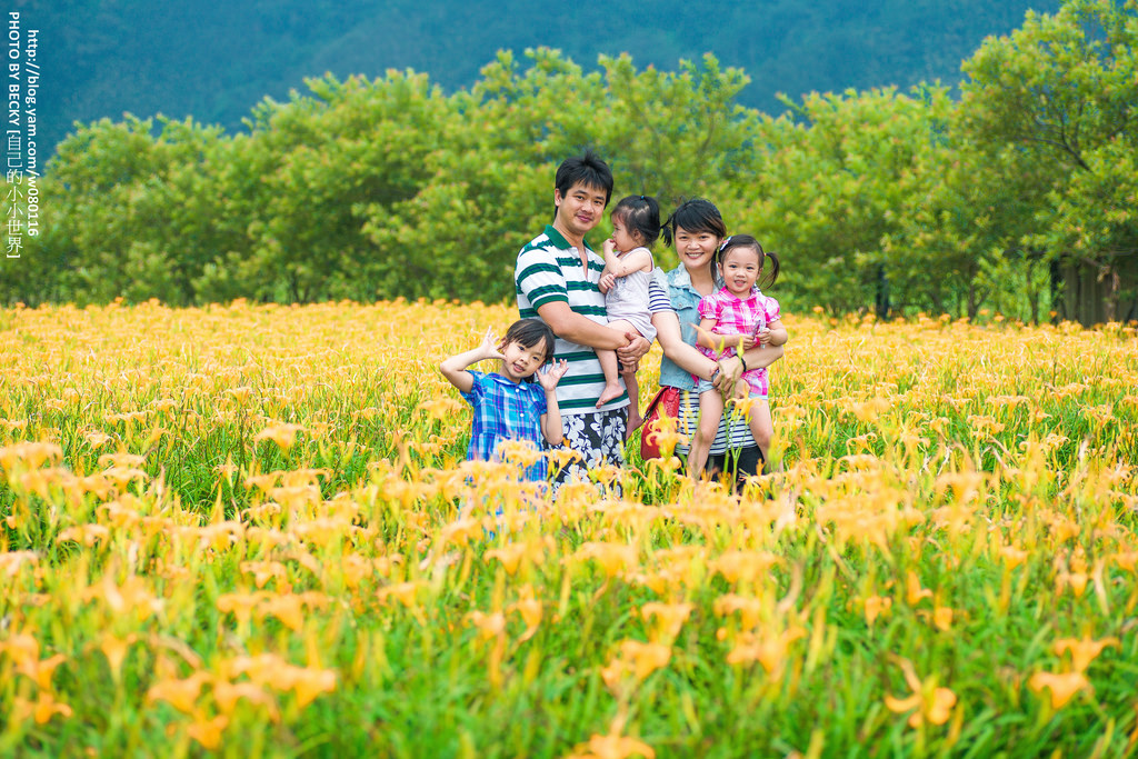 2014.Aug Day Lily @南投