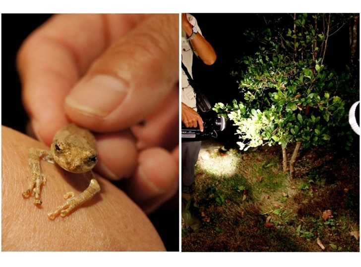 一個隱身群山,寓教於樂的生態民宿--三茅屋