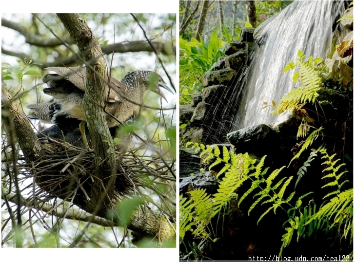 一個隱身群山,寓教於樂的生態民宿--三茅屋