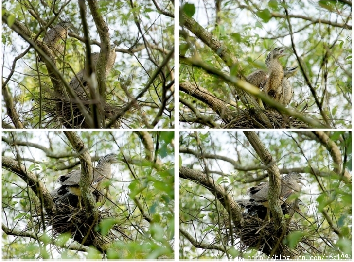 一個隱身群山,寓教於樂的生態民宿--三茅屋
