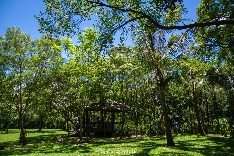 ｜嘉義景點｜金桔觀光工廠，免門票的親子旅遊景點 - 阿婷的旅行札記。